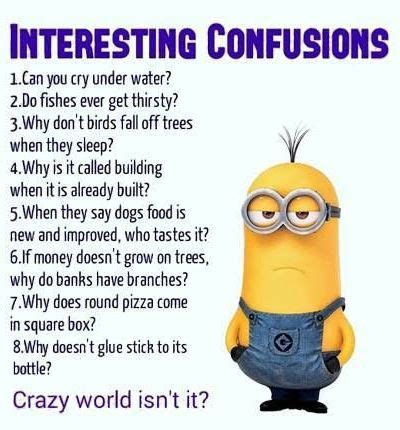89 funny, too clever short jokes that will get you a laugh! Hilarious Jokes and Funniest Pics | Laugh Out Loud