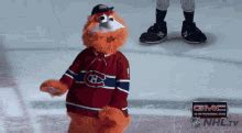 Compilation of cat gifs, most of them are domestic cats and two are wild cats. Habs GIFs | Tenor