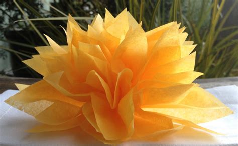 A tiny improvement in virginia's dismal medical marijuana law took place in the spring of 2018. SALE 20 Goldenrod Yellow Paper Dahlia Napkin Holders.Ready ...