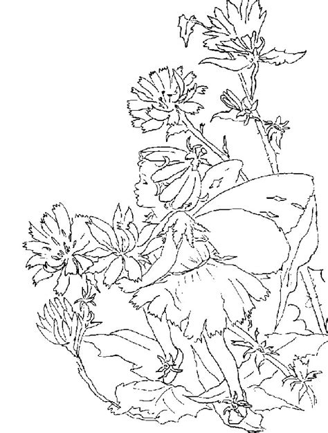 Ook van haar staan hier veel kleurplaten. Kids-n-fun.com | 40 coloring pages of fairies