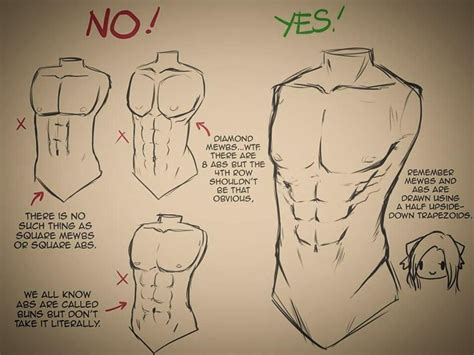Without an understanding of anatomy, your drawings will always feel like there's something wrong. Male Upper Torso Anatomy - Male Upper Body Anatomy And ...