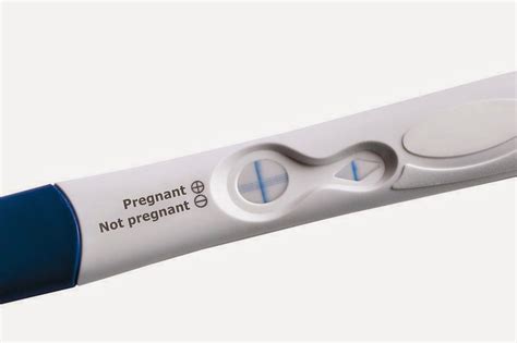 Home pregnancy tests work by detecting the presence of the hormone hcg (human chorionic gonadotropin) in a woman's urine. Free Pregnancy Clinic