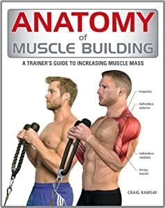 The curious lives of human cadavers by mary roach, atlas of human anatomy by frank h. Anatomy of Muscle Building: A Trainer's... book by Craig Ramsay