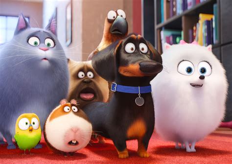 Max, chloe, pops, and mel!watch more:►. Who Voices Characters in The Secret Life of Pets ...