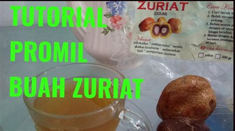 082121556131(wa/telpon) buah zuriat buat pria,buah zuriat buat kesehatan,buah zuriat bagi promil,buah zuriat bagi program hamil,buah zuriat bagi suami istri,bu… Cara mengkonsumsi buah zuriat #promilzuriat - YouTube