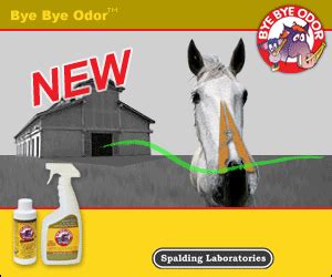 Fly control in horse barn??? Bye Bye Odor - For horses with a stinky barn! | Fly ...