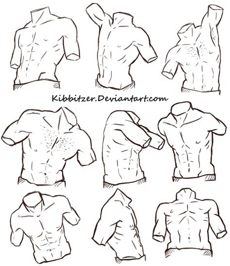 Broadly considered, human muscle—like the muscles of all vertebrates—is often divided into striated muscle, smooth. Male Torso Reference Sheet 2 by Kibbitzer on DeviantArt