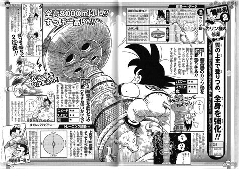 Dragon ball super latino yajirobe y el maestro karin juegan limbo con goku. Torre de Karin | Dragon Ball Wiki | Fandom powered by Wikia