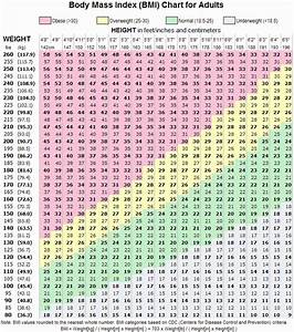 30 Weight Height Age Charts Example Document Template