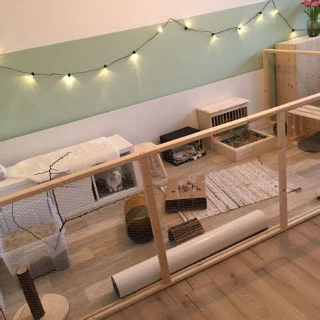 Wir wollten mal schauen, wie günstig man sich solch ei. Innenhaltung Fotos | Kaninchengehege, Kaninchenkäfig ...