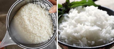 Taj mahal herba rice is imported from south india. How to Cook Rice With Coconut Oil to Burn More Fats And ...