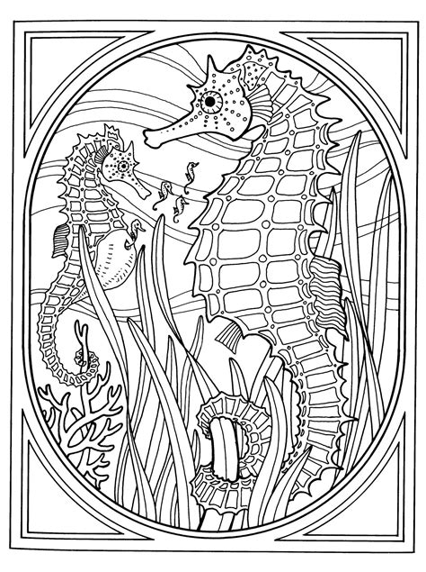 See more ideas about seahorse, coloring pages, seahorse art. Coloring Pages for Adults - Best Coloring Pages For Kids