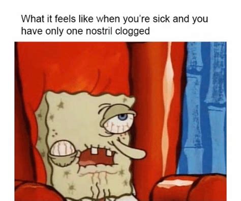 Pin by Juanita Davis Krise on funny | Spongebob memes ... Find and save sick sense of humor memes | from instagram, facebook, tumblr, twitter & more.