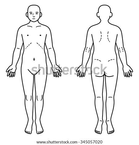 Images of a human body front and back. Body Stock Images, Royalty-Free Images & Vectors ...