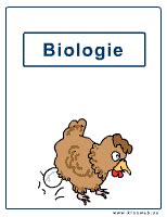 Die vorlage für das deckblatt und die seiten haben wir als download schon vorbereitet. Schule Biologie Deckblatt / Herbarium Anlegen Tipps ...