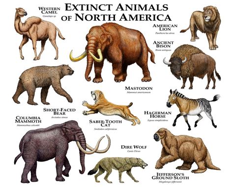 Extinct Animals of North America | Extinct animals, Ancient animals, Prehistoric animals