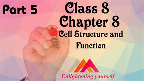 Animal cell explanation for kids. CLASS 8 | CHAPTER 8 | CELL STRUCTURE AND FUNCTIONS | NCERT ...