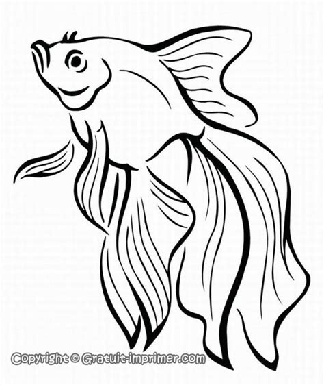 You can find new free android games and apps. fancy fantail linedrawing - Google zoeken | Fish coloring page, Fish drawings, Adult coloring pages