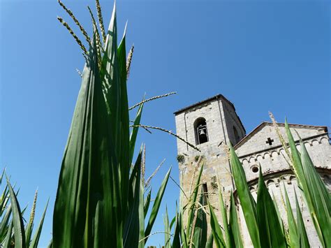 Vicopisano sorge ai piedi delle montagne dei monti pisani su di un promontorio da cui è possibile avere una panoramica di un ampio tratto della piana dell'arno. Vicopisano e le pievi segrete - City Grand Tour