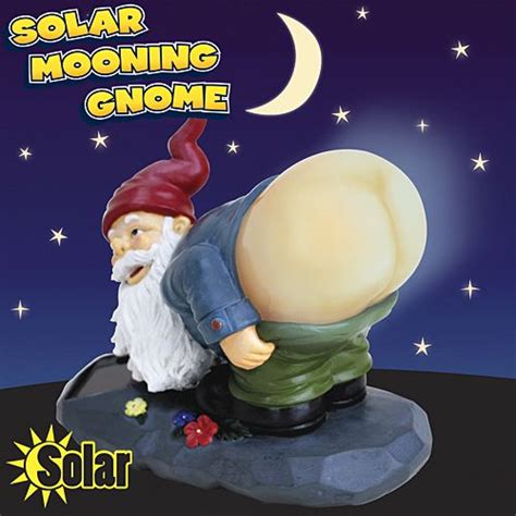 There's a full moon outside, and it's not up in the sky! Solar Powered Mooning Gnome | Funniest Gadgets | Gnomes ...