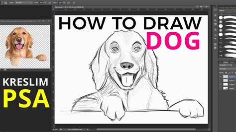 This stand is designed for small dogs, but there's no reason you. HOW TO DRAW DOG / JAK KRESLIT PSA - YouTube