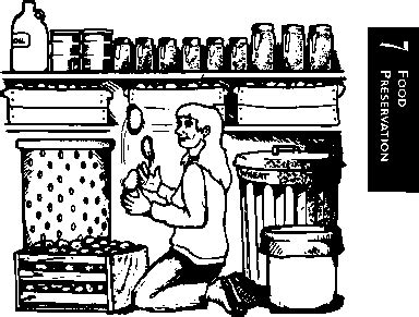 Use them in commercial designs under lifetime, perpetual & worldwide rights. Root Cellar Storage - Old Fashioned Recipes - Johnny's Kitchen