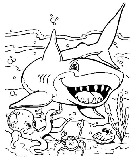 Stats on this coloring page. Free Printable Shark Coloring Pages For Kids