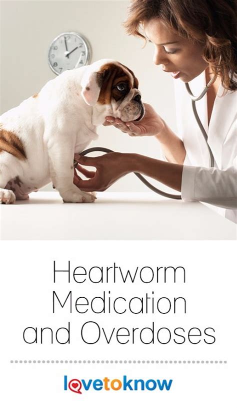 Local store prices may vary from those displayed. Heartworm Medication and Overdoses | Heartworm medication ...