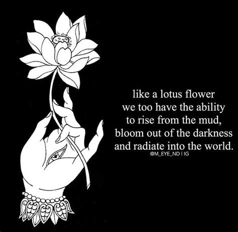 Discover 22 quotes tagged as lotuses quotations: Lotus flower quote, Flower quotes, Quotes