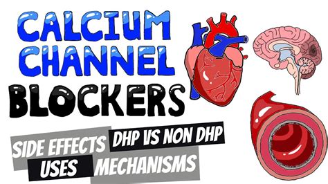 Check spelling or type a new query. Dihydropyridine v Non Dihydropyridine Calcium Channel ...
