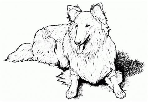 Give your child characters personal goals. Realistic puppy coloring pages download and print for free