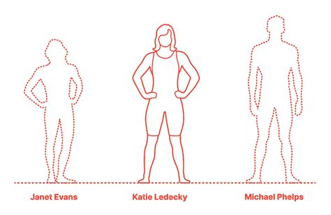 Katie ledecky is 24 years, 1 months, 11 days old. Katie Ledecky Dimensions & Drawings | Dimensions.com