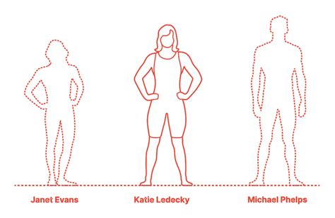 Nickname katie, ledecks, ledeckster, deckster: Katie Ledecky Dimensions & Drawings | Dimensions.com