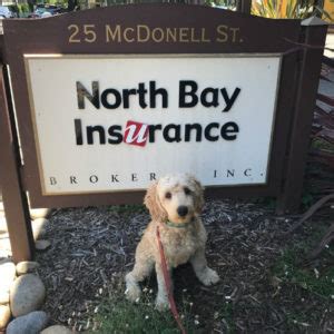 Using insurance buddy free download crack, warez, password, serial numbers, torrent, keygen, registration codes. Dogs of the Office - Sonoma CA | North Bay Insurance Brokers