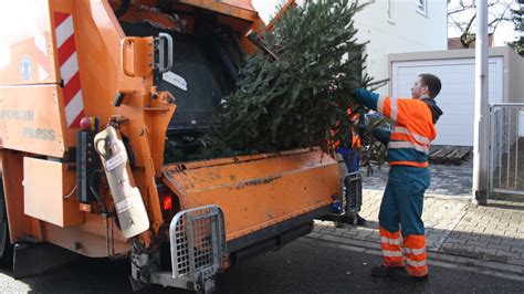 Der 45 meter hohe baum wird aus vielen kleinen bäumen zusammengesetzt. Wann werden die Weihnachtsbäume 2019 abgeholt?