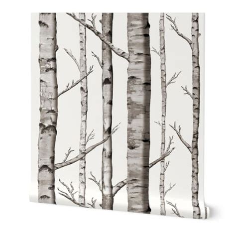 Inspiration wald tapeten für dein #zuhause. Baum, schwarz und weiß, modern, grau, Tapete, Espe, Wald ...