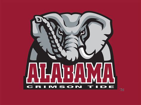 #alabama #alabama crimson tide #clemson #georgia #georgia bulldogs #ohio state #ohio state buckeyes #wisconsin #wisconsin badgers #washington #washington huskies #oklahoma #oklahoma. Alabama Crimson Tide | This Chick's View on Sports