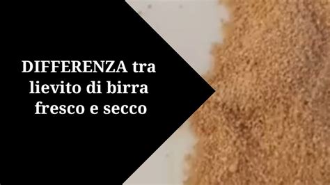 Il lievito secco è invece lievito disidratato che si conserva a temperatura ambiente. Differenza tra lievito di birra fresco e secco e come ...