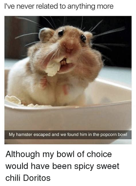 At memesmonkey.com find thousands of memes categorized helpful non helpful. I've Never Related to Anything More My Hamster Escaped and ...