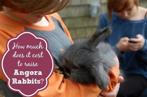 In mushroom cultivation, poly bags are used to fill. How much does it cost to raise Angora rabbits? | Rabbit, Angora rabbit, Raising rabbits