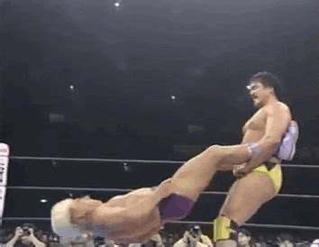 You can paste url of the image inside your comment and it will be automatically converted into. ric flair | Trending Gifs