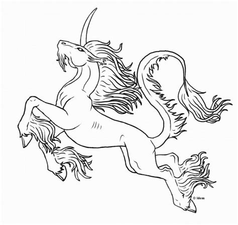 Types de licornes et ressemblances : dessin à imprimer: Dessin A Imprimer De Licorne Magique