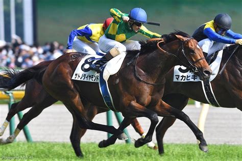 ばさん リベンジポルノ マジックミラー ヘンリー塚本 友達のお母さん ライブチャット 流出 美少女 痴漢 本物レイプ アナル 無理やり中出し エロアニメ 熟. 【競馬】サトノダイヤモンドの見た目格好良すぎだろwwww ...