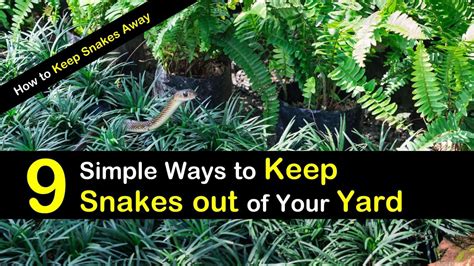 However, using the right tools and equipment will surely help you to finish it on time. 9 Simple Ways to Keep Snakes Out of Your Yard - How to ...