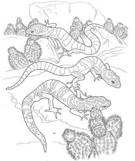 You can print or color them online at getdrawings.com for absolutely free. Desert Animals Coloring Pages - Coloring Home
