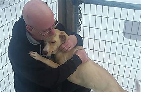 It's one of the worst roads in all of north america in winters. 'I thought I had lost her:' Dog reunites with Penticton ...