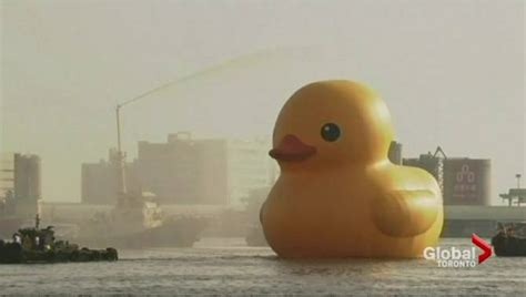 PCs call $120K Ontario government grant for giant rubber duck a waste ...