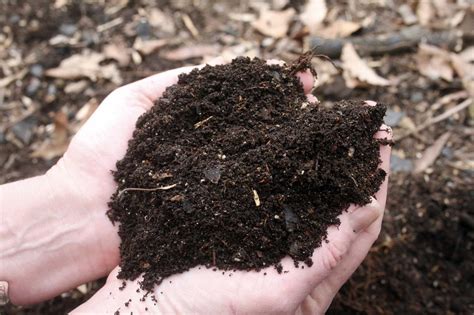 Rock mulch offers the same benefits of pebble mulch, but it is made of larger rocks. You have mulch and compost questions; we have answers