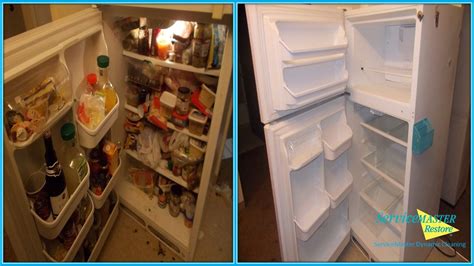 The open garment rack served as my garden and held my edited closet. Hoarding house fridge before and after cleaning | Hoarding ...