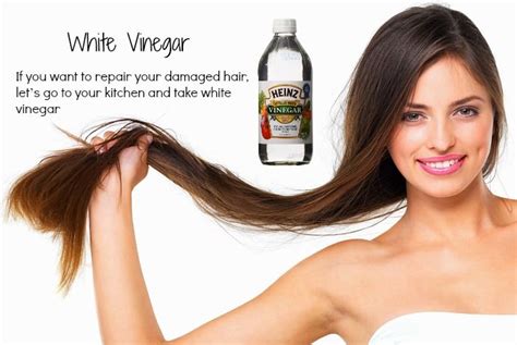 Hair damage that comes in three types: Top 13 Natural Home Remedies For Damaged Hair Repair ...